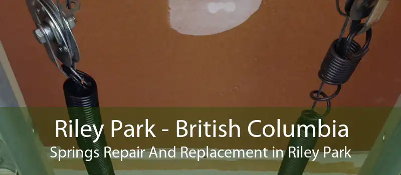 Riley Park - British Columbia Springs Repair And Replacement in Riley Park