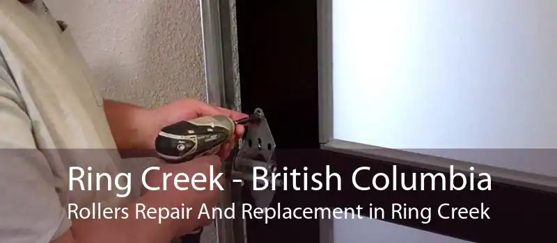 Ring Creek - British Columbia Rollers Repair And Replacement in Ring Creek