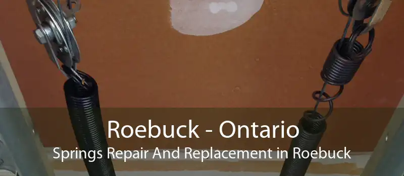 Roebuck - Ontario Springs Repair And Replacement in Roebuck