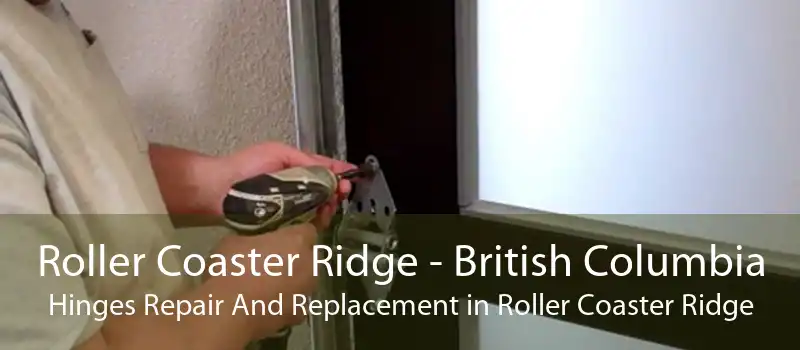 Roller Coaster Ridge - British Columbia Hinges Repair And Replacement in Roller Coaster Ridge