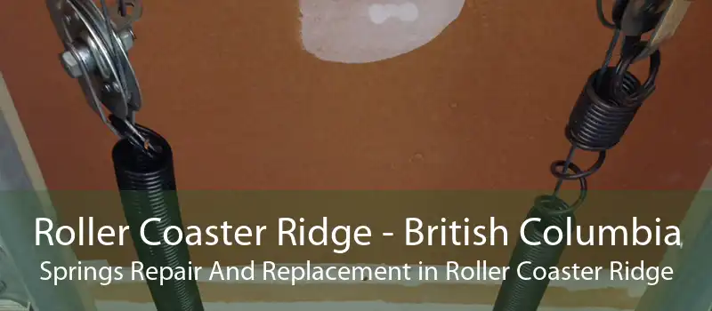Roller Coaster Ridge - British Columbia Springs Repair And Replacement in Roller Coaster Ridge