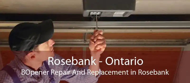 Rosebank - Ontario BOpener Repair And Replacement in Rosebank