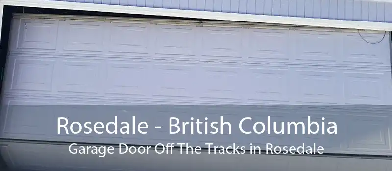 Rosedale - British Columbia Garage Door Off The Tracks in Rosedale