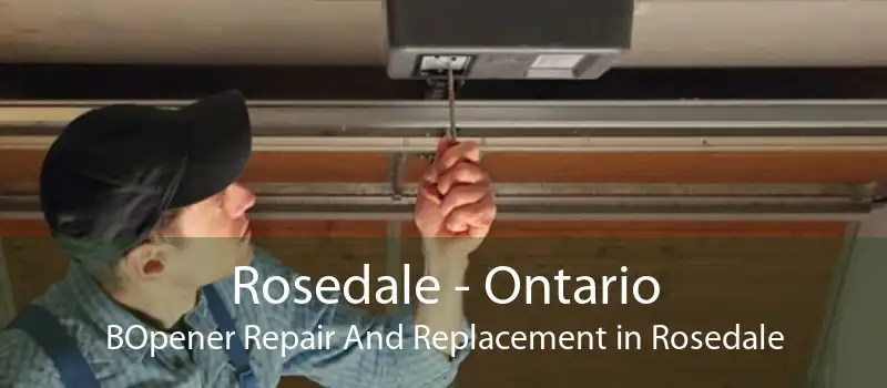 Rosedale - Ontario BOpener Repair And Replacement in Rosedale