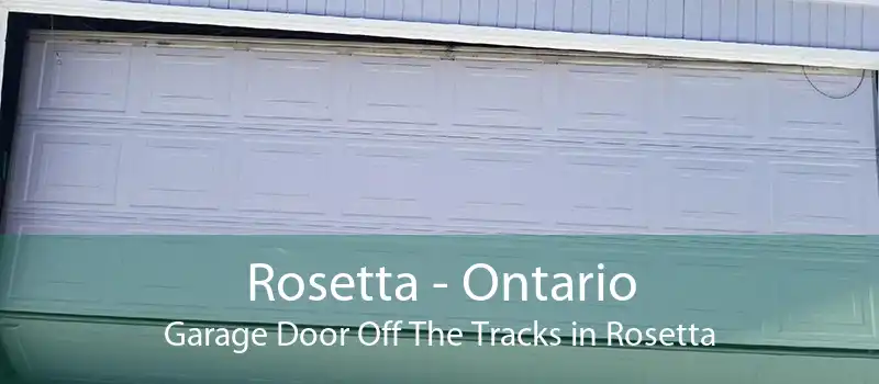 Rosetta - Ontario Garage Door Off The Tracks in Rosetta
