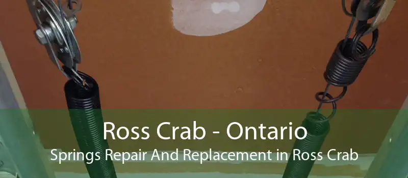 Ross Crab - Ontario Springs Repair And Replacement in Ross Crab