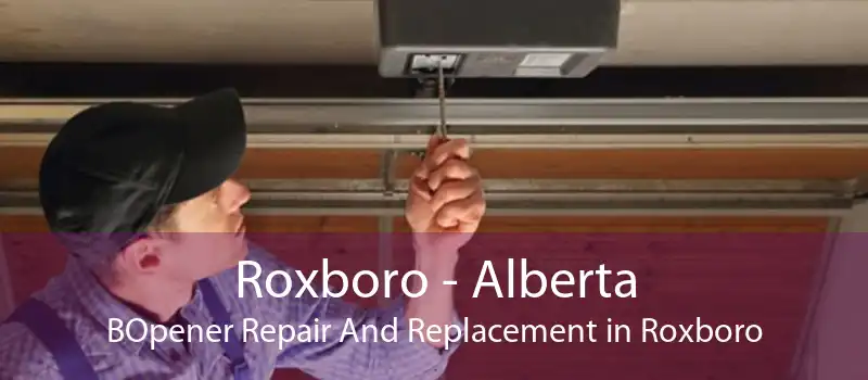Roxboro - Alberta BOpener Repair And Replacement in Roxboro