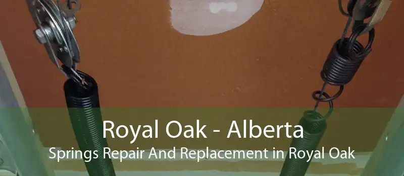 Royal Oak - Alberta Springs Repair And Replacement in Royal Oak