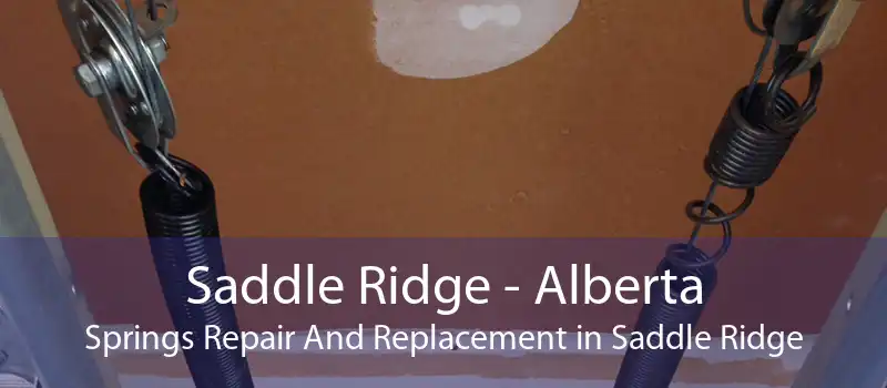 Saddle Ridge - Alberta Springs Repair And Replacement in Saddle Ridge