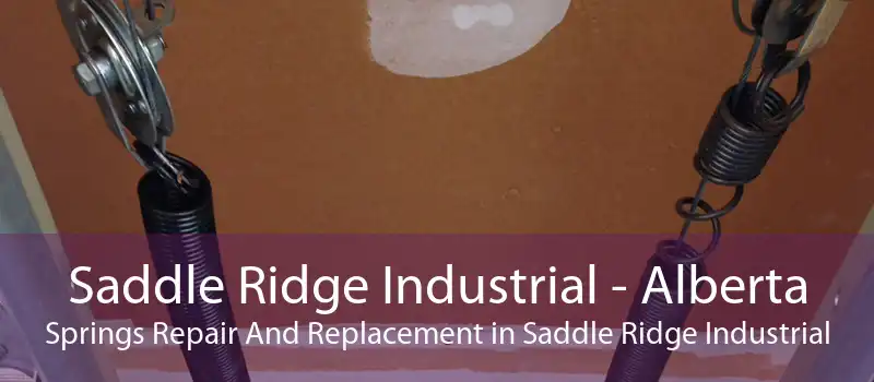Saddle Ridge Industrial - Alberta Springs Repair And Replacement in Saddle Ridge Industrial