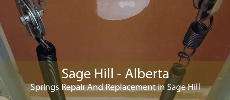 Sage Hill - Alberta Springs Repair And Replacement in Sage Hill