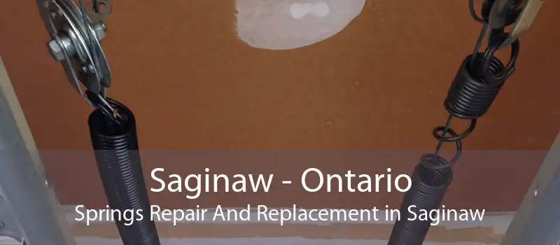 Saginaw - Ontario Springs Repair And Replacement in Saginaw