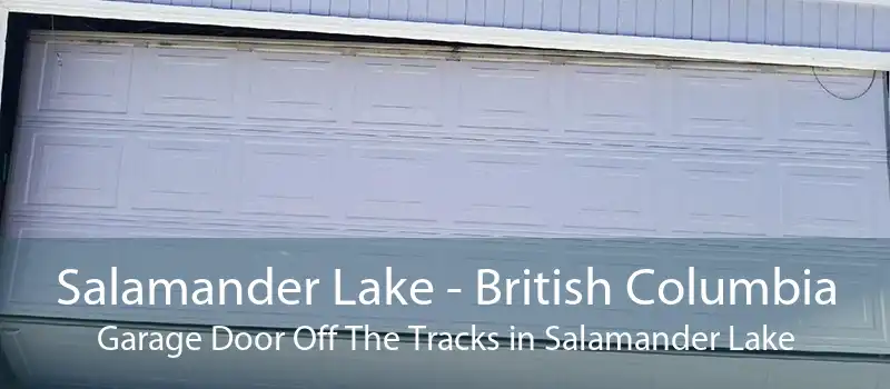 Salamander Lake - British Columbia Garage Door Off The Tracks in Salamander Lake
