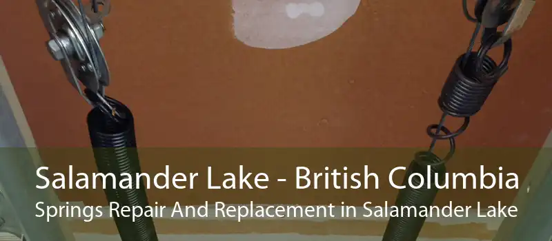 Salamander Lake - British Columbia Springs Repair And Replacement in Salamander Lake