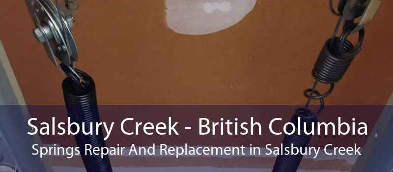 Salsbury Creek - British Columbia Springs Repair And Replacement in Salsbury Creek
