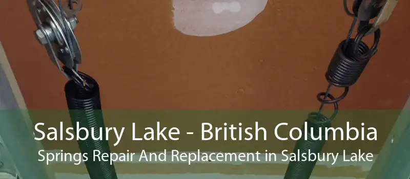Salsbury Lake - British Columbia Springs Repair And Replacement in Salsbury Lake