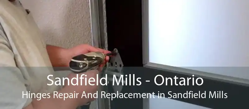 Sandfield Mills - Ontario Hinges Repair And Replacement in Sandfield Mills