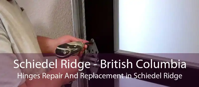 Schiedel Ridge - British Columbia Hinges Repair And Replacement in Schiedel Ridge