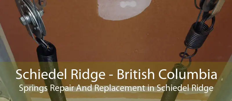 Schiedel Ridge - British Columbia Springs Repair And Replacement in Schiedel Ridge