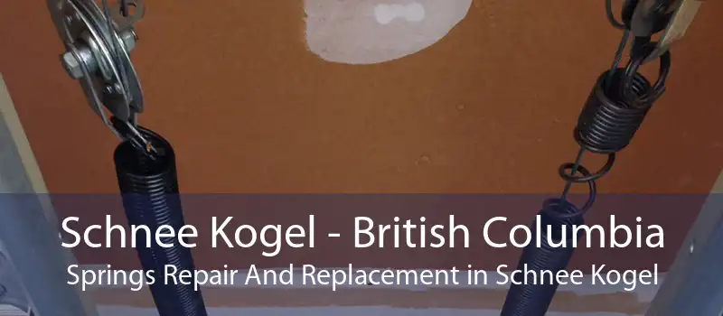 Schnee Kogel - British Columbia Springs Repair And Replacement in Schnee Kogel