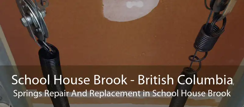 School House Brook - British Columbia Springs Repair And Replacement in School House Brook