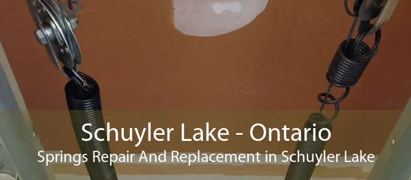 Schuyler Lake - Ontario Springs Repair And Replacement in Schuyler Lake