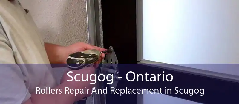 Scugog - Ontario Rollers Repair And Replacement in Scugog