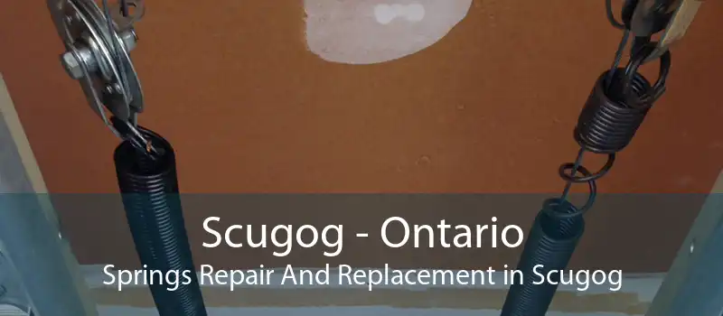 Scugog - Ontario Springs Repair And Replacement in Scugog