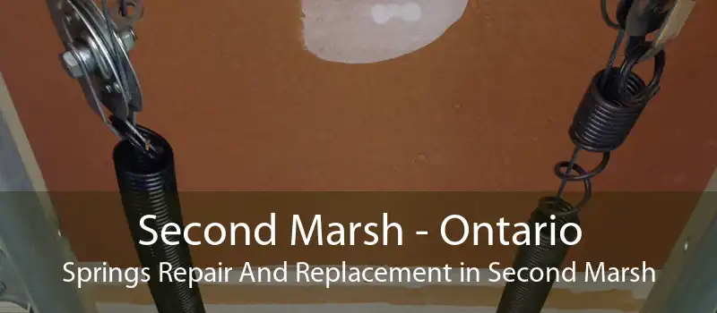 Second Marsh - Ontario Springs Repair And Replacement in Second Marsh