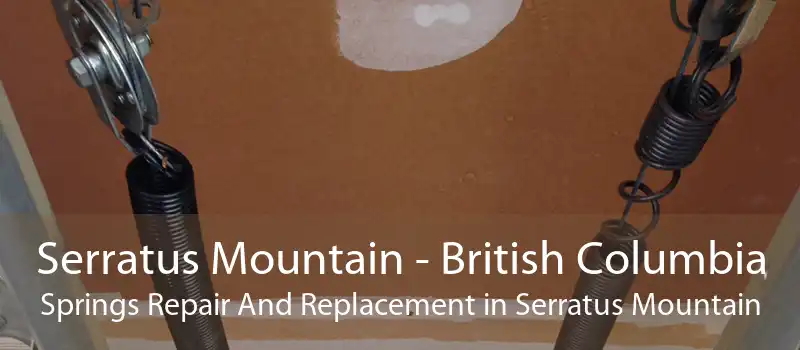 Serratus Mountain - British Columbia Springs Repair And Replacement in Serratus Mountain