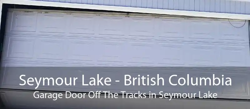 Seymour Lake - British Columbia Garage Door Off The Tracks in Seymour Lake