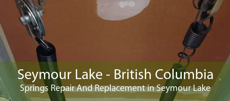 Seymour Lake - British Columbia Springs Repair And Replacement in Seymour Lake