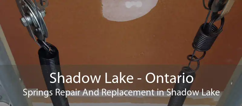 Shadow Lake - Ontario Springs Repair And Replacement in Shadow Lake