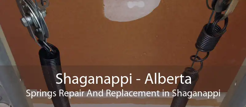 Shaganappi - Alberta Springs Repair And Replacement in Shaganappi