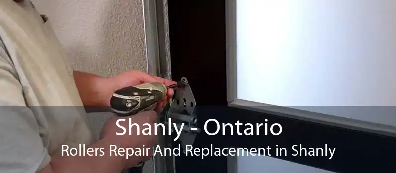 Shanly - Ontario Rollers Repair And Replacement in Shanly