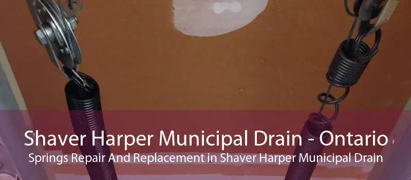 Shaver Harper Municipal Drain - Ontario Springs Repair And Replacement in Shaver Harper Municipal Drain