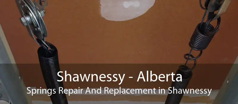 Shawnessy - Alberta Springs Repair And Replacement in Shawnessy