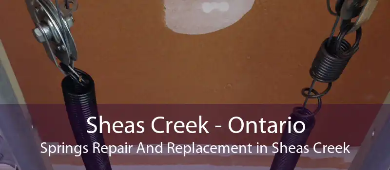 Sheas Creek - Ontario Springs Repair And Replacement in Sheas Creek