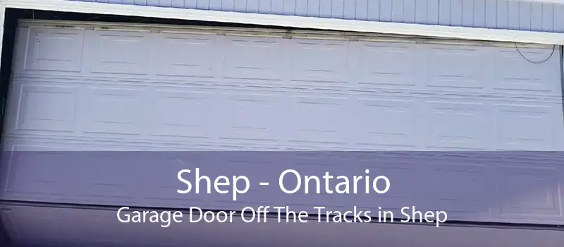 Shep - Ontario Garage Door Off The Tracks in Shep