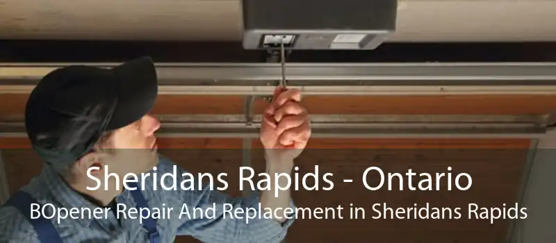 Sheridans Rapids - Ontario BOpener Repair And Replacement in Sheridans Rapids