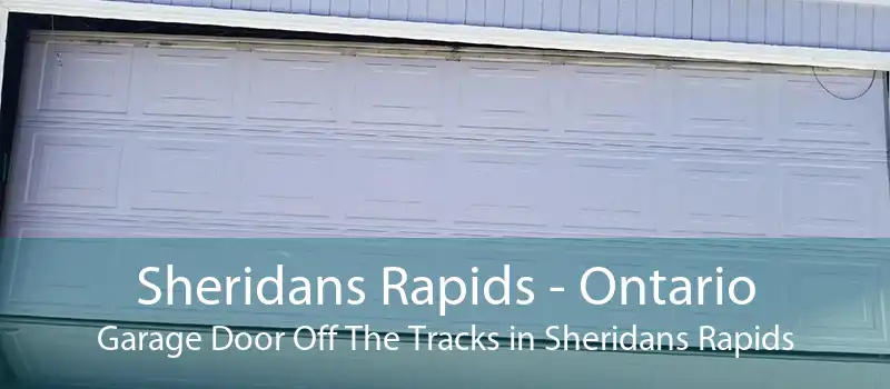 Sheridans Rapids - Ontario Garage Door Off The Tracks in Sheridans Rapids