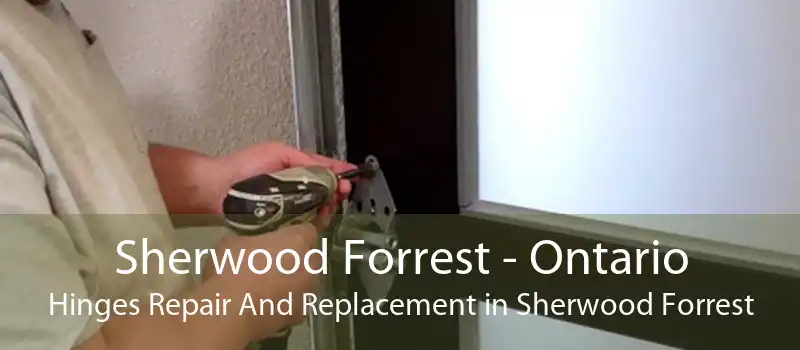 Sherwood Forrest - Ontario Hinges Repair And Replacement in Sherwood Forrest