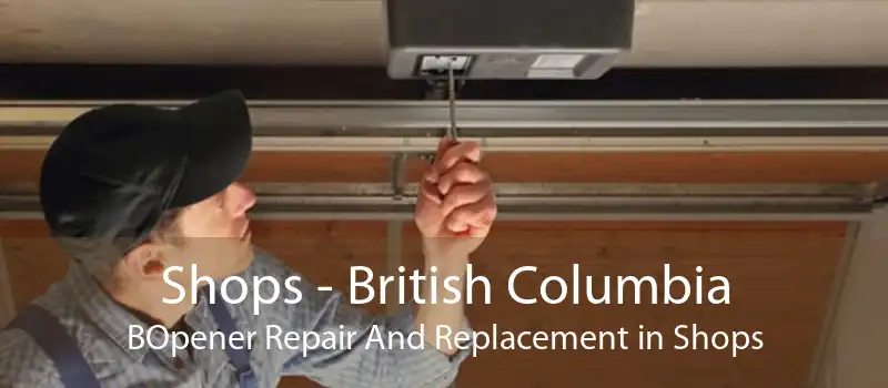 Shops - British Columbia BOpener Repair And Replacement in Shops