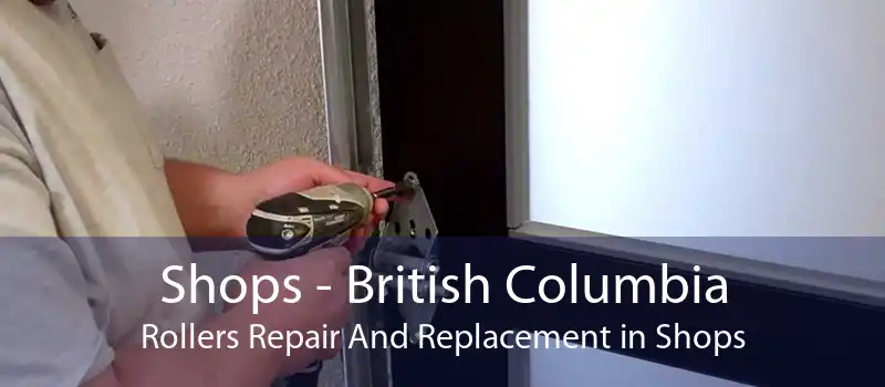 Shops - British Columbia Rollers Repair And Replacement in Shops