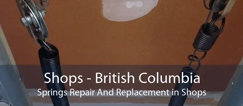 Shops - British Columbia Springs Repair And Replacement in Shops
