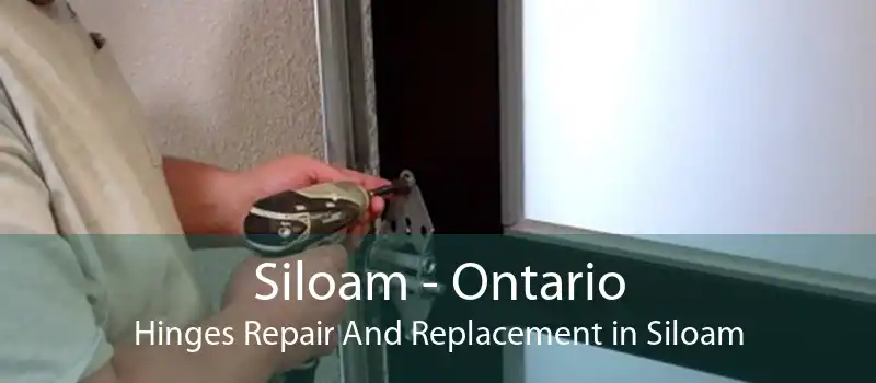 Siloam - Ontario Hinges Repair And Replacement in Siloam