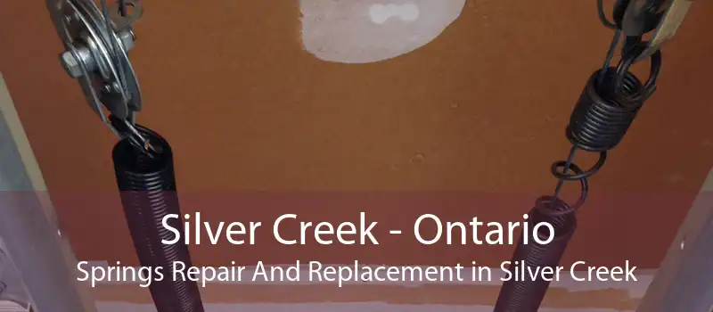 Silver Creek - Ontario Springs Repair And Replacement in Silver Creek