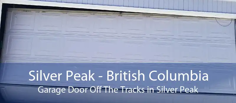 Silver Peak - British Columbia Garage Door Off The Tracks in Silver Peak