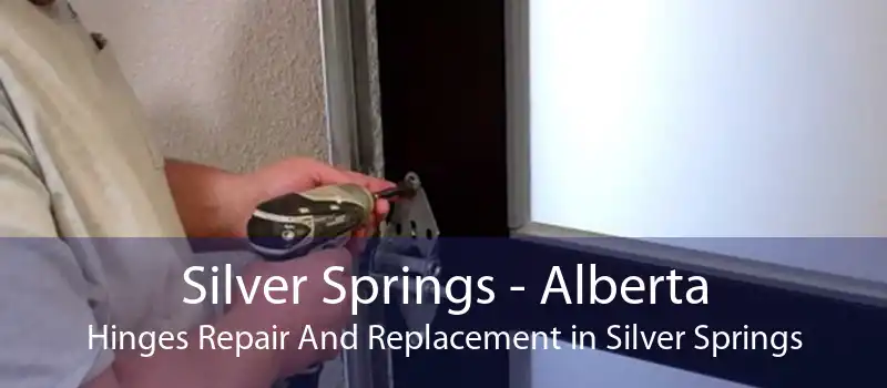 Silver Springs - Alberta Hinges Repair And Replacement in Silver Springs