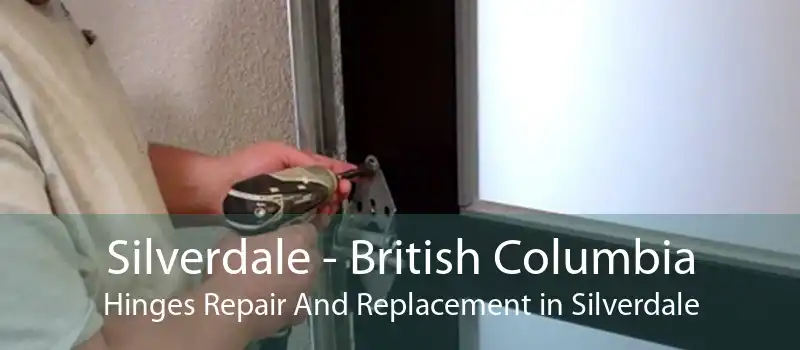 Silverdale - British Columbia Hinges Repair And Replacement in Silverdale